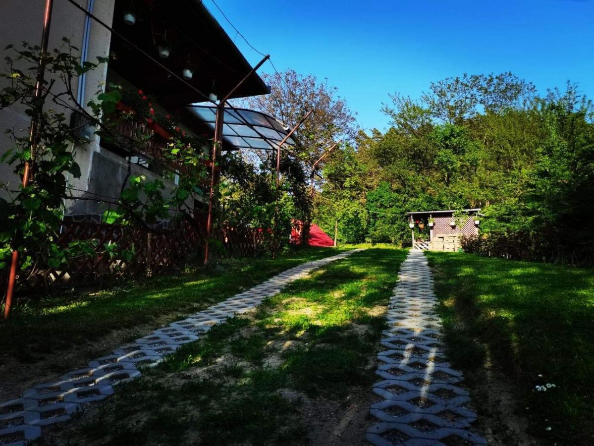 סובאטה Casa De Vacanta Zsenik Vendeghaz מראה חיצוני תמונה